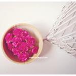 10 Carnation Pa..