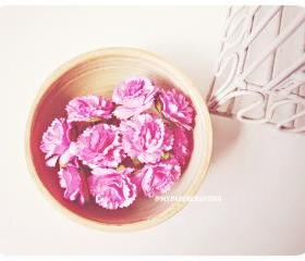 10 Carnation paper flower Hibiscus / pack