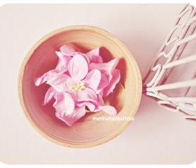 2 Gardenia Big paper flower Champagne Pink / pack 