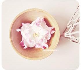 2 Gardenia Big paper flower Pink / pack 