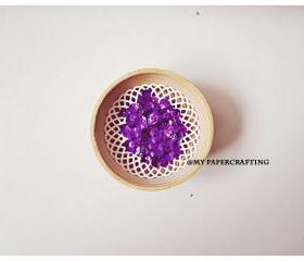 Sequins, Metallic Royal purple