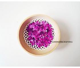 Sequins, Laser Raspberry Fizz