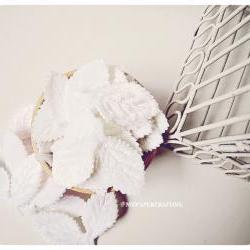 Leaves Velvet / pack 